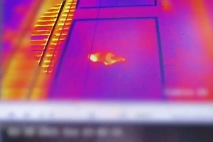 Американца-нелегала нашли в вагоне товарного поезда в Белоруссии