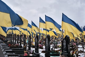 Не от большого ума: В СФ оценили призывы Литвы и Эстонии продолжать кровопролитие на Украине