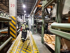 В подмосковной Сходне потушили пожар на складе с паллетами