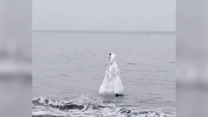 Загадочный призрак восстал из моря и перепугал сахалинцев