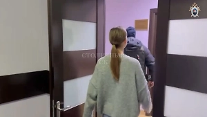 Блогершу Митрошину доставили на допрос в СК