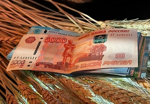 Раскрыта сеть из 4,8 тыс. фирм-однодневок, укравших из бюджета 1,2 трлн рублей