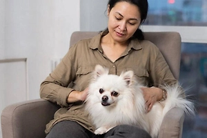 Ветеринар развенчал популярный миф о собаках, из-за которого страдают хозяева