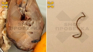 Многодетной семье из Москвы подали рыбу с червяком в отеле Шарм-эль-Шейха