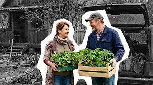 Дача на выходные 2026: главные лайфхаки для огородников, у которых есть всего 2 дня 