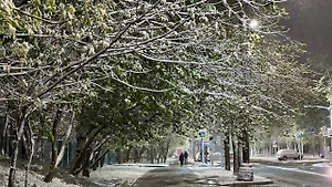 Снег и похолодание до +1 градуса вернутся в Москву на следующей неделе