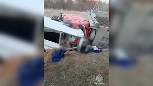 Смяло в гармошку: Два человека погибли в лобовом столкновении под Петербургом