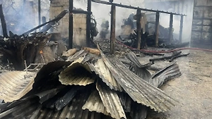 Тела двух погибших нашли на пепелище сгоревшего дома в Новой Москве