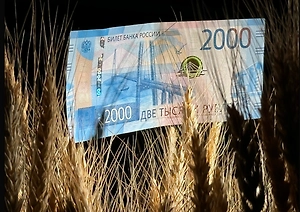 Самозапрет и бдительность: Как один шаг защитит от левых кредитов и аферистов