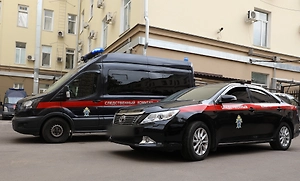 Быстрыкин поручил доложить о расследовании самоуправства в подмосковной деревне