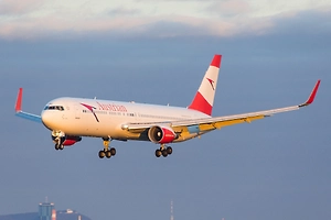 Вот это «кусь»: Крошечная пчёлка приземлила целый самолёт и сорвала планы 107 человек