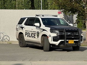 Медведь ранил двух военных на базе на Аляске, где встречались Путин и Трамп