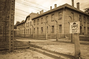 В Германии призвали признать геноцид советского народа в годы Второй мировой