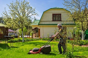 Даже навес в зоне риска: Адвокат Жорин напомнил, за какие дачные постройки россиян ждут штрафы до 20 тысяч