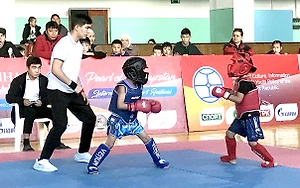 Юношеский турнир по кунг-фу в Бишкеке закончился массовой дракой у сцены