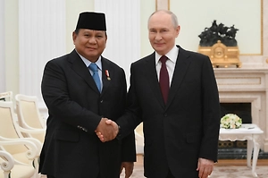 Путин проводил президента Индонезии до машины после встречи в Кремле