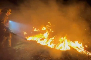 Крупный пожар охватил сухую траву под Петербургом