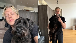 Догхантеры отравили собаку стримера-миллионника Paradeevich в Москве