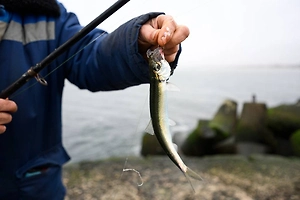 После шторма на Волге пропали четверо рыбаков, тело одного из них уже найдено
