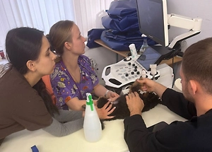 Всего секунда — и пёс не дышал: Жена Миши Литвина чудом спасла собаку от смерти