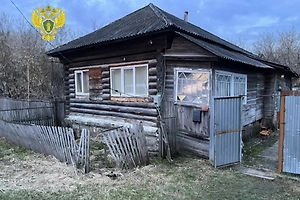 Под Рязанью поймали убийцу годовалого малыша и его матери