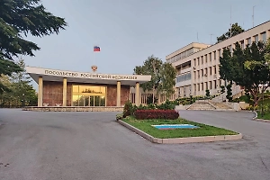 В посольстве РФ в Турции высадили кремлёвские ели и провели субботник