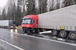 Два человека погибли в огненном ДТП с грузовиком в Ленобласти