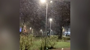 Шло 86-е февраля: В Москве выпал снег за четыре дня до мая