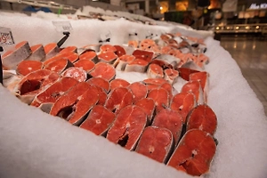 Промысел стал убыточным: Рыбаки в ЕС отказываются выходить в море из-за цен на топливо