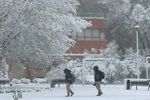 В Подмосковье за сутки выпало больше месячной нормы осадков