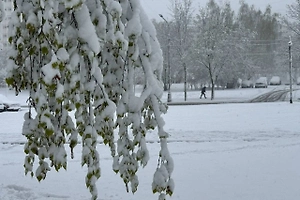 Снежный апокалипсис в Москве вызвал циклон с Баренцева моря