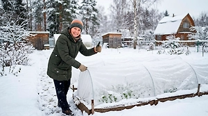 Внезапный снег на грядках: что делать сразу, чтобы спасти рассаду, — пошаговая инструкция

