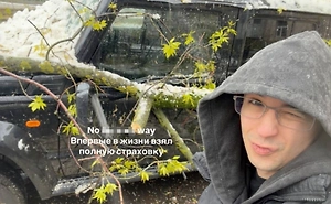 Слава Марлоу показал свою разбитую иномарку за 4,2 млн под упавшим деревом
