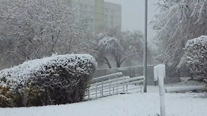 Апрельский снегопад обрушился на Москву и вернул зиму — видео