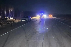Двое подростков и молодой водитель погибли в ДТП с лошадью в Красноярском крае