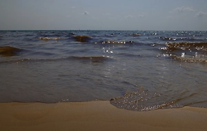 Тонны подсолнечного масла разлились в Чёрном море у Одессы