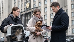 Кошек и собак могут внести в единый реестр: зачем в России хотят маркировать питомцев