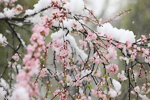 Шашлыки на траве, а не в сугробах: Синоптики рассказали, когда в Москву придёт весна
