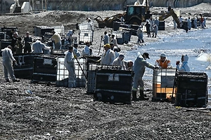 Песков заявил о мерах по ликвидации последствий мазутной аварии в Туапсе