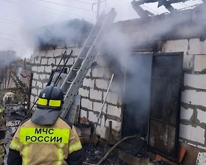 Около 200 собак сгорели заживо во время пожара в Нижнем Новгороде