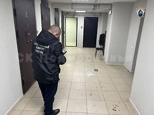 Двое конвоиров пострадали при попытке побега обвиняемого в суде в Подмосковье