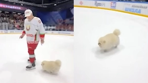 Умка блеснул на льду в Минске после победного матча команды Лукашенко — милое видео