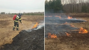 В Подмосковье начались первые лесные пожары