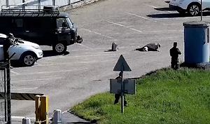 ФСБ показала видео задержания немки и исламиста, готовивших теракт в Пятигорске