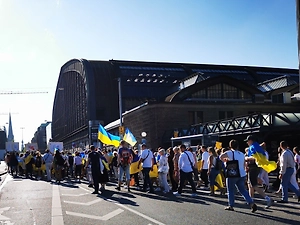 В Ирландии устали содержать украинцев и обещают им €10 тыс. за возвращение домой