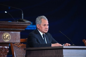Шойгу: РФ предпримет все шаги для защиты 220 тысяч россиян в Приднестровье