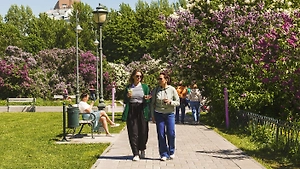 Погода на майские праздники 2026: какая будет 1 и 9 Мая в Москве, СПб и других городах
