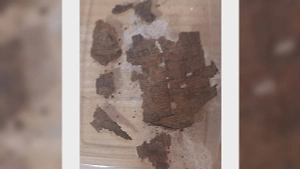 Археологи нашли папирус с фрагментом «Илиады» внутри египетской мумии