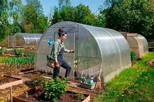 Подготовка теплицы весной к новому сезону: пошаговая инструкция для богатого урожая