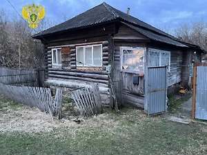 Изрезал тела ножом: В Рязанской области ищут убийцу женщины и годовалого малыша
